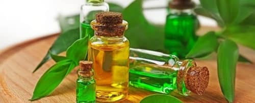 Tea Tree Oil